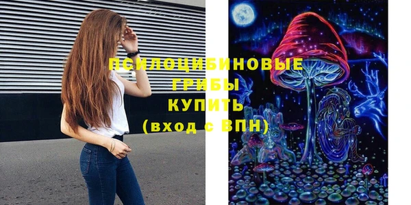 спайс Гусь-Хрустальный