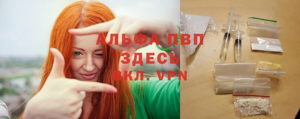 тгк Гусев