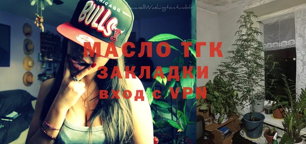 тгк Гусев
