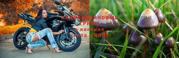 твердый Вязьма