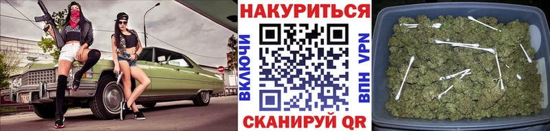 Конопля сатива  Жиздра 